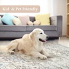 image:imageDriftAway Area Rug 5x7 Washable Rugs for Living Room Non Slip Rubber Backing Low Pile Non Shedding Carpet Friendly Boho Foldable Vintage Rugs for Bedroom Dining Room Natural Gray BrickPink