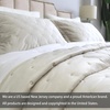 image:imageDriftAway 3 Piece Velvet Quilt Set Bedspreads Coverlets Cover Prewashed Full Queen Size Queen Ivory