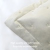 image:imageDriftAway 3 Piece Velvet Quilt Set Bedspreads Coverlets Cover Prewashed Full Queen Size Queen Ivory